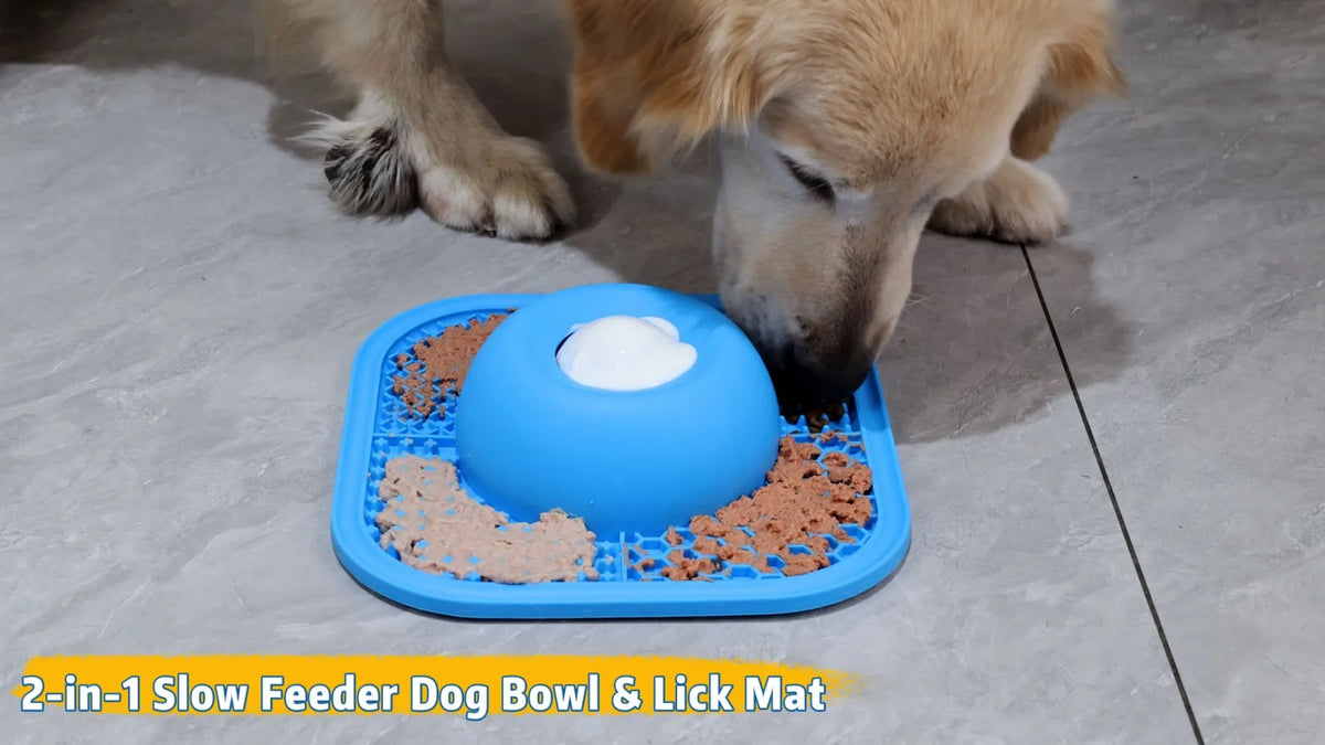 Interactive Slow Feeder Lick Bowl With Rolling Ball Design