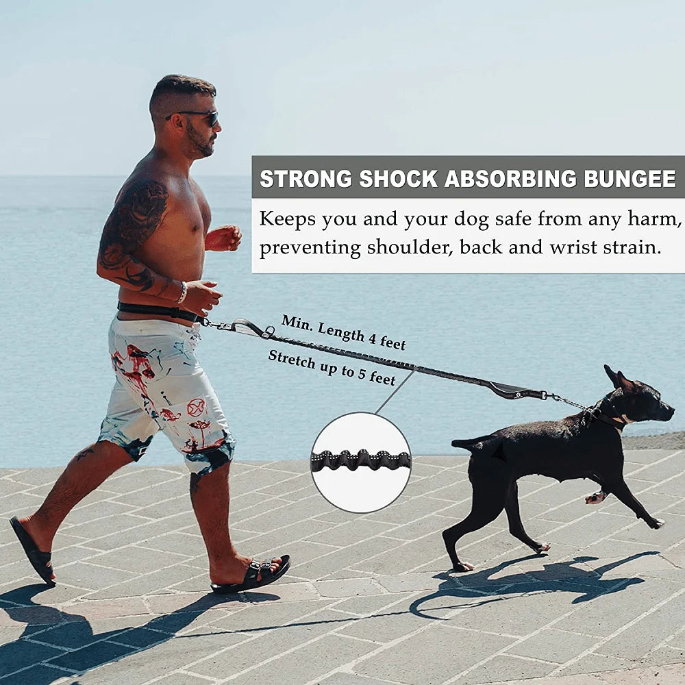 Adjustable Waist Dog Leash Featuring Durable Reflective Bungee Design