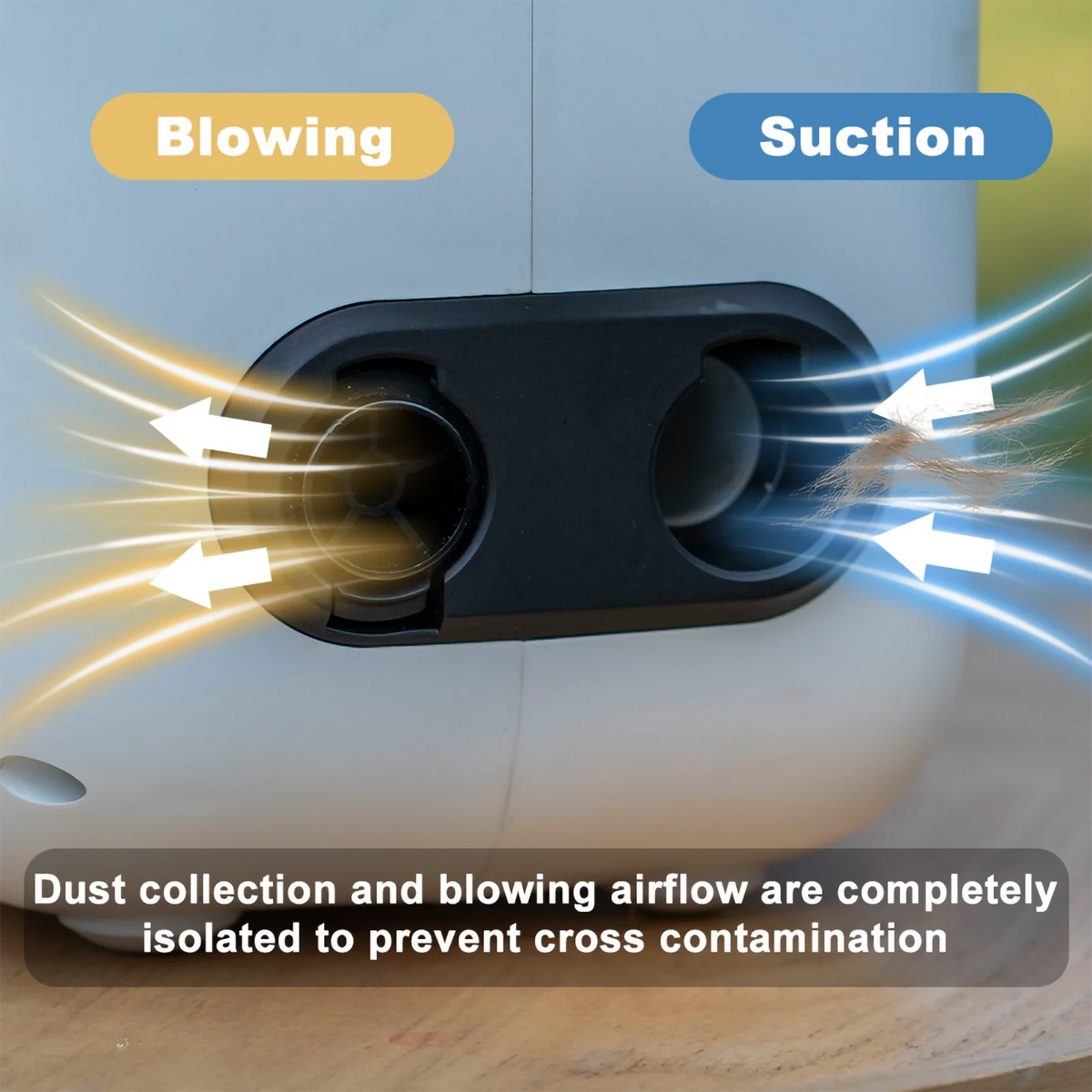 Professional Pet Grooming Vacuum Kit With Quiet Dog Clippers