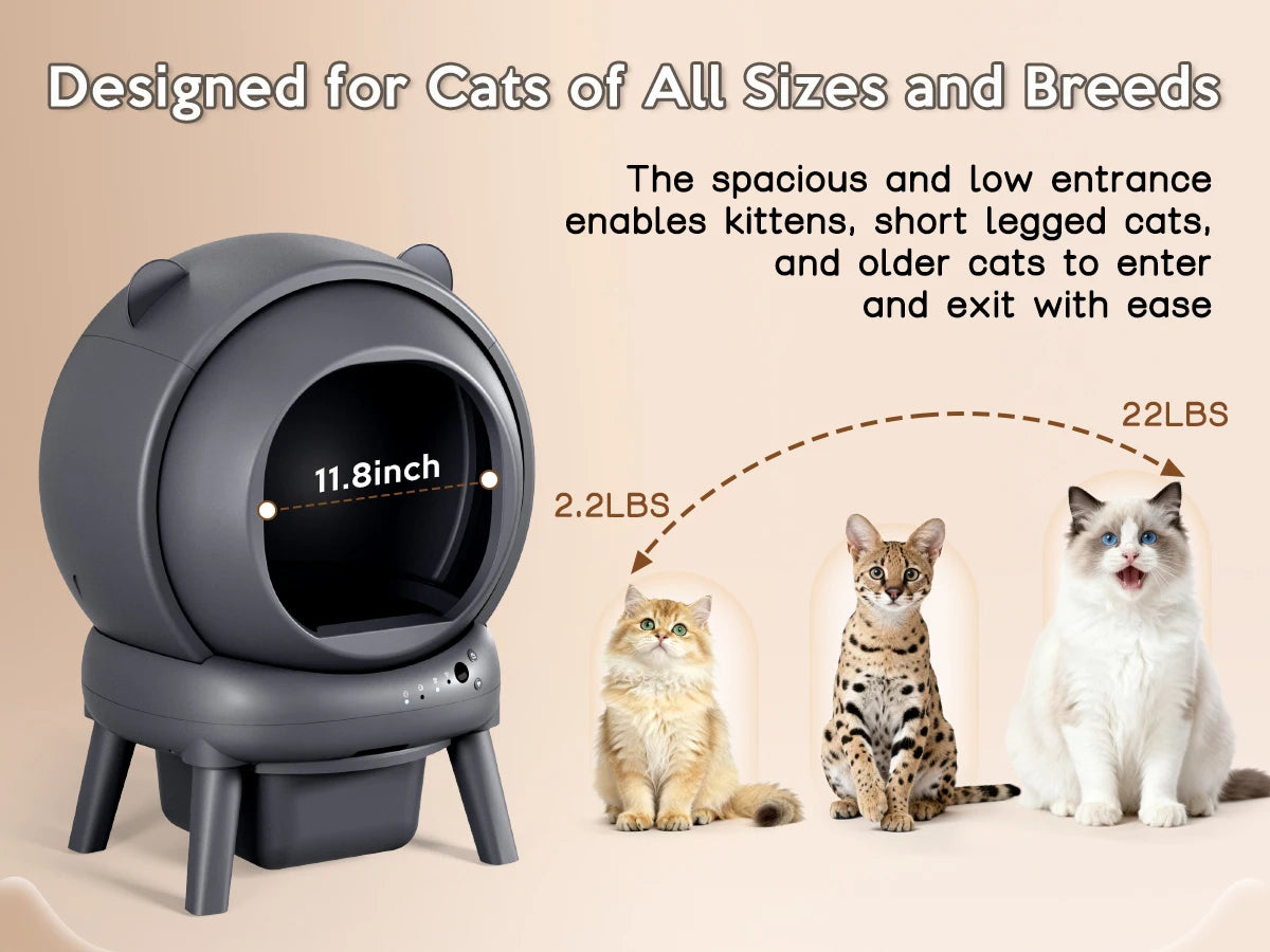 Smart Self Cleaning Litter Box Featuring Dual Cat Safety Sensors
