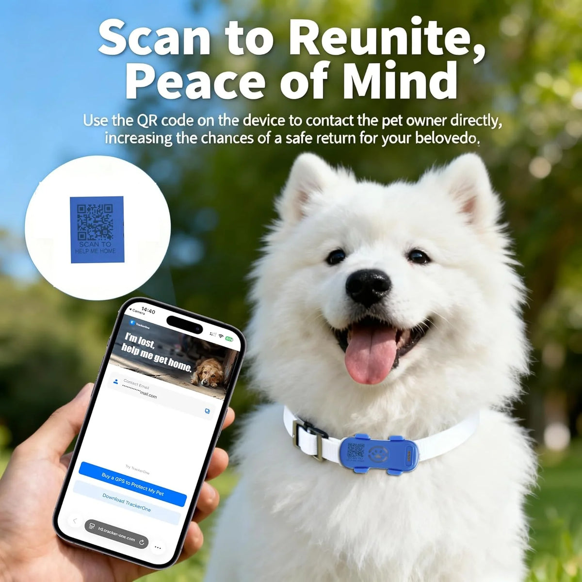 Smart 4G Real Time Pet GPS Tracker With Waterproof Alarm