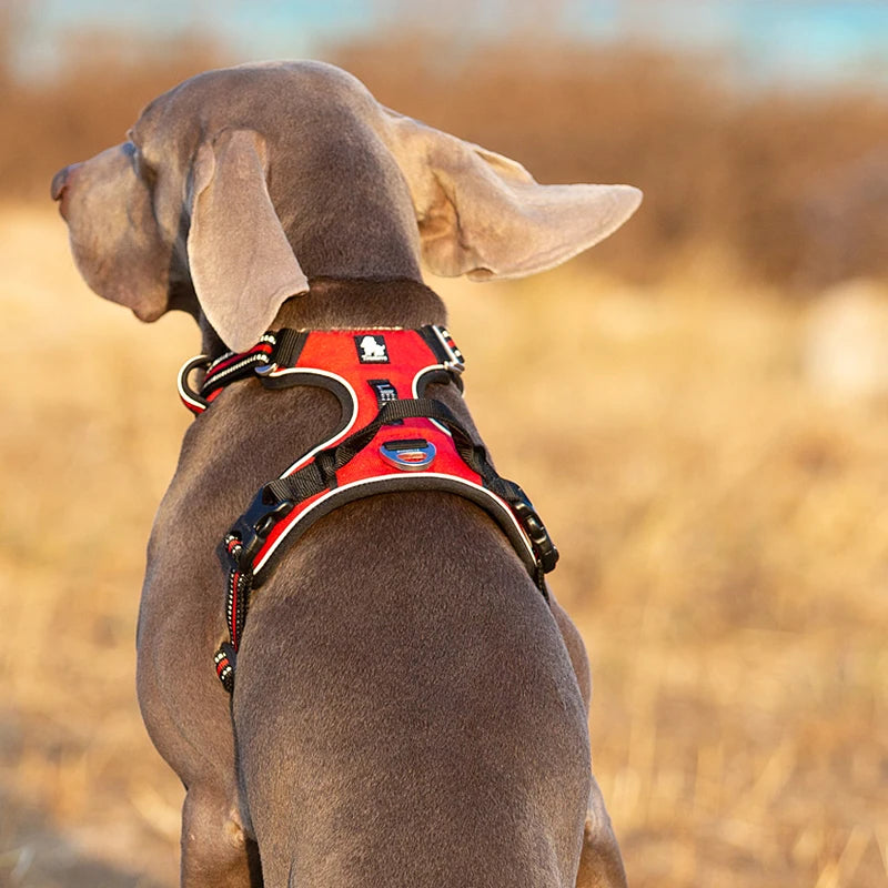 Truelove Reflective Nylon Dog Harness No Pull Adjustable Vest Walking