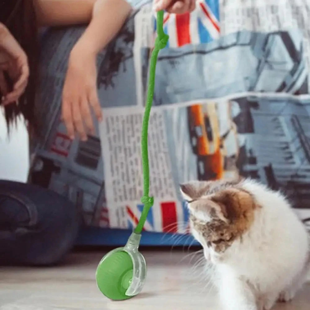 Automatic Cat Rolling Ball Interactive LED Rechargeable Self Play Toy