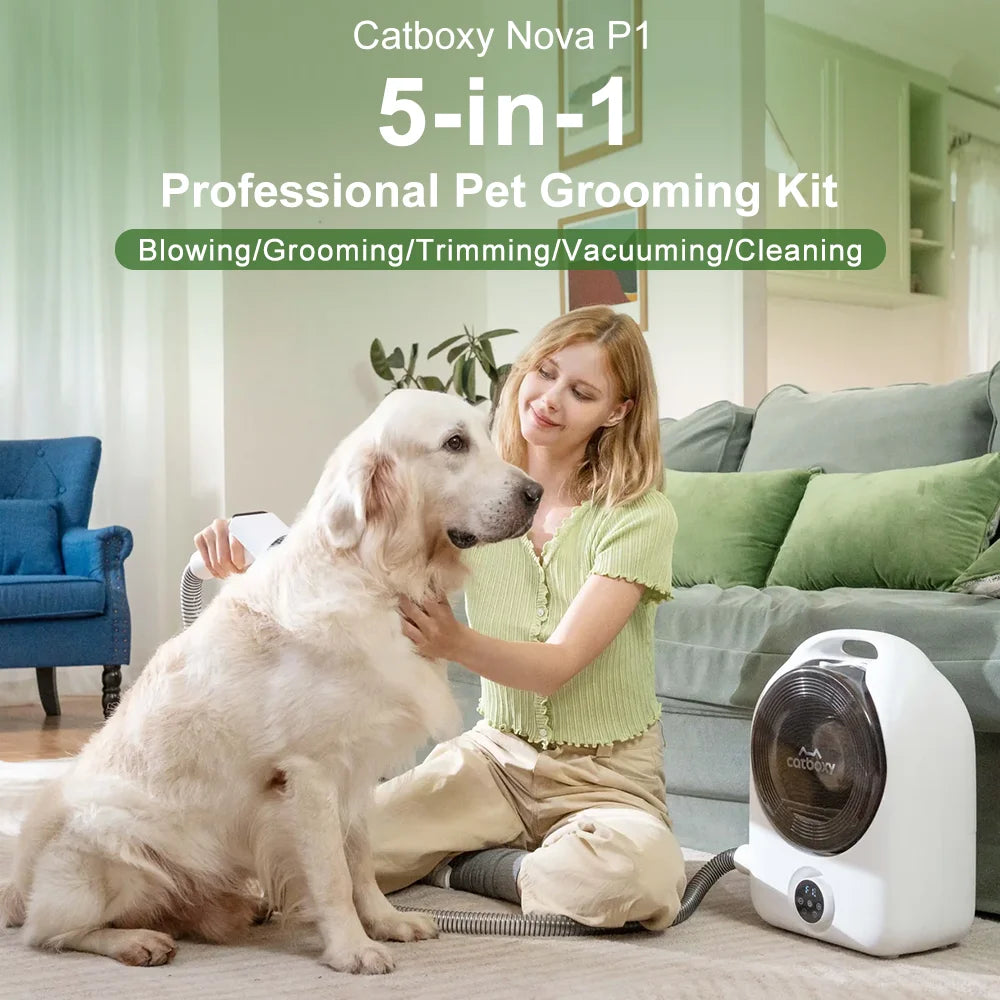 Professional Cordless Pet Grooming Kit With Low Noise Hair Dryer