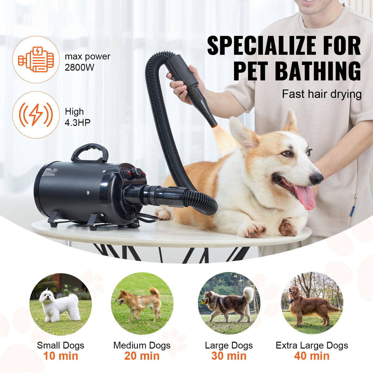 SucceBuy High Power Pet Grooming Dryer Adjustable Speed Temperature Control