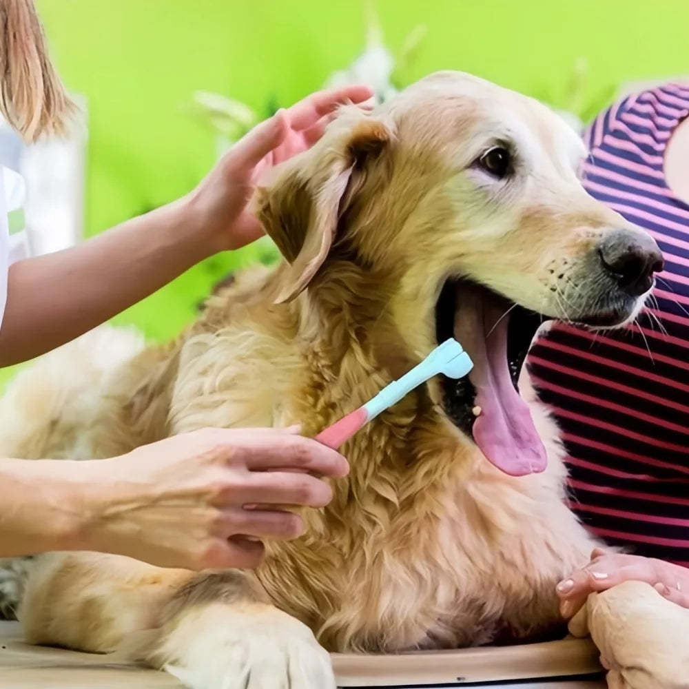 Three Sided Pet Toothbrush For Dogs And Cats Dental Cleaning
