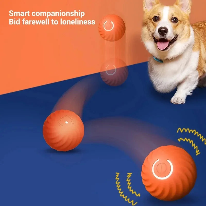 Automatic Moving Ball Dog Toy Interactive USB Puppy Chew Toy