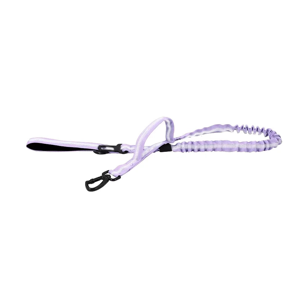 PetraVel Quick Release Double Handle Dog Leash Adjustable Nylon Rope