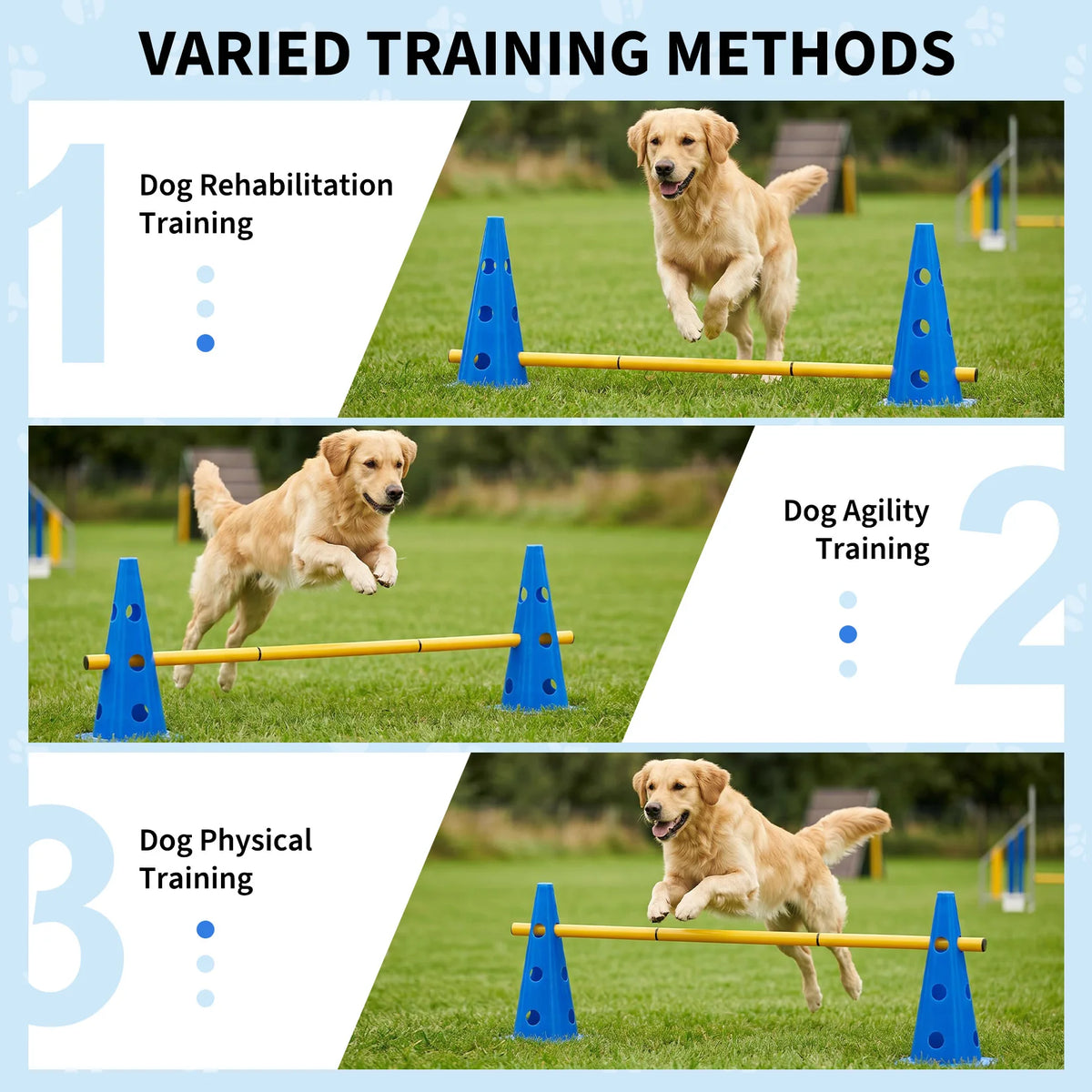 Dog Agility Training Set With Adjustable Hurdles For Exercise