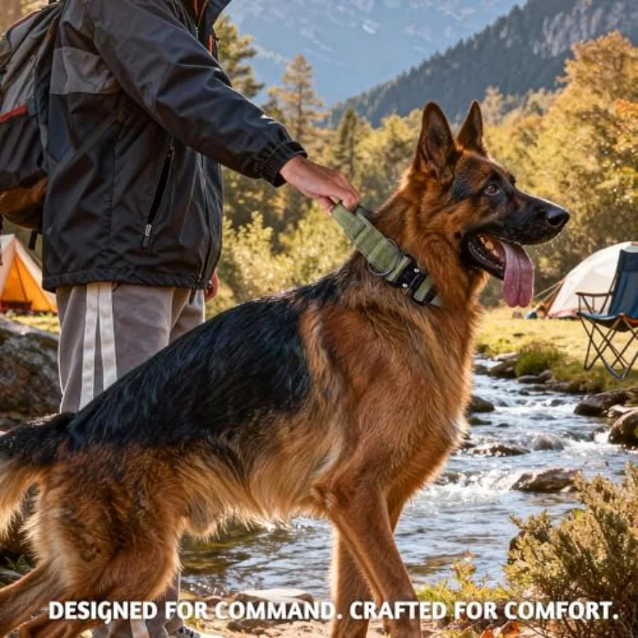 Tactical Dog Collar With Handle Reflective Lining And Airtag Holder