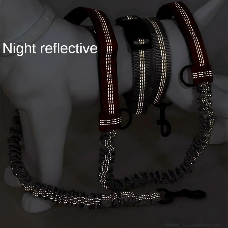 Adjustable Waist Dog Leash Featuring Durable Reflective Bungee Design