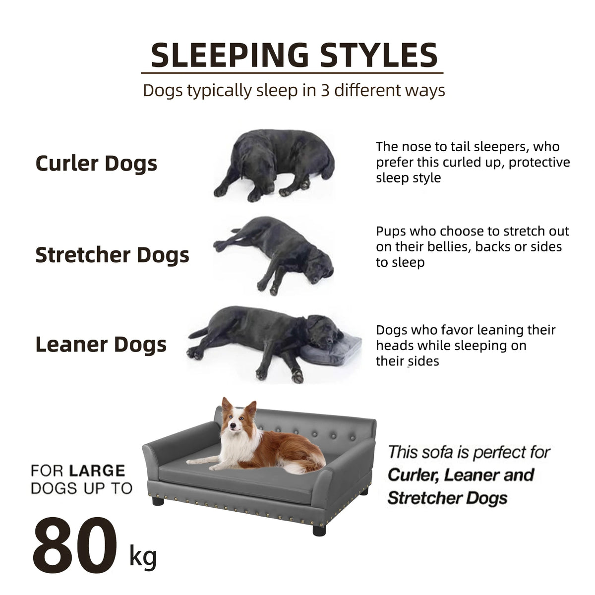 BINGOPAW Elevated Dog Sofa With Removable Microfiber Cushion