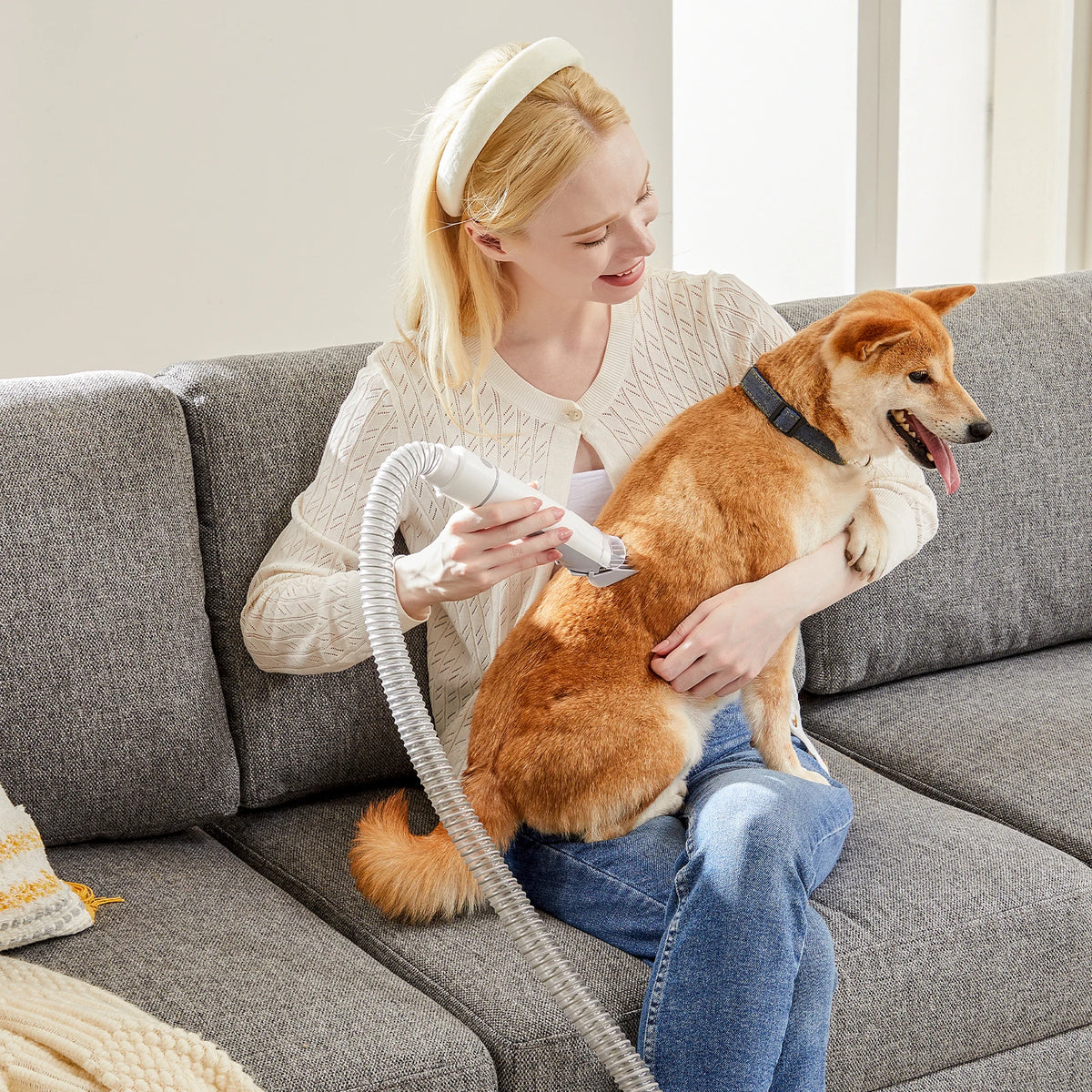 Professional Pet Grooming Vacuum Kit With Low Noise Clippers