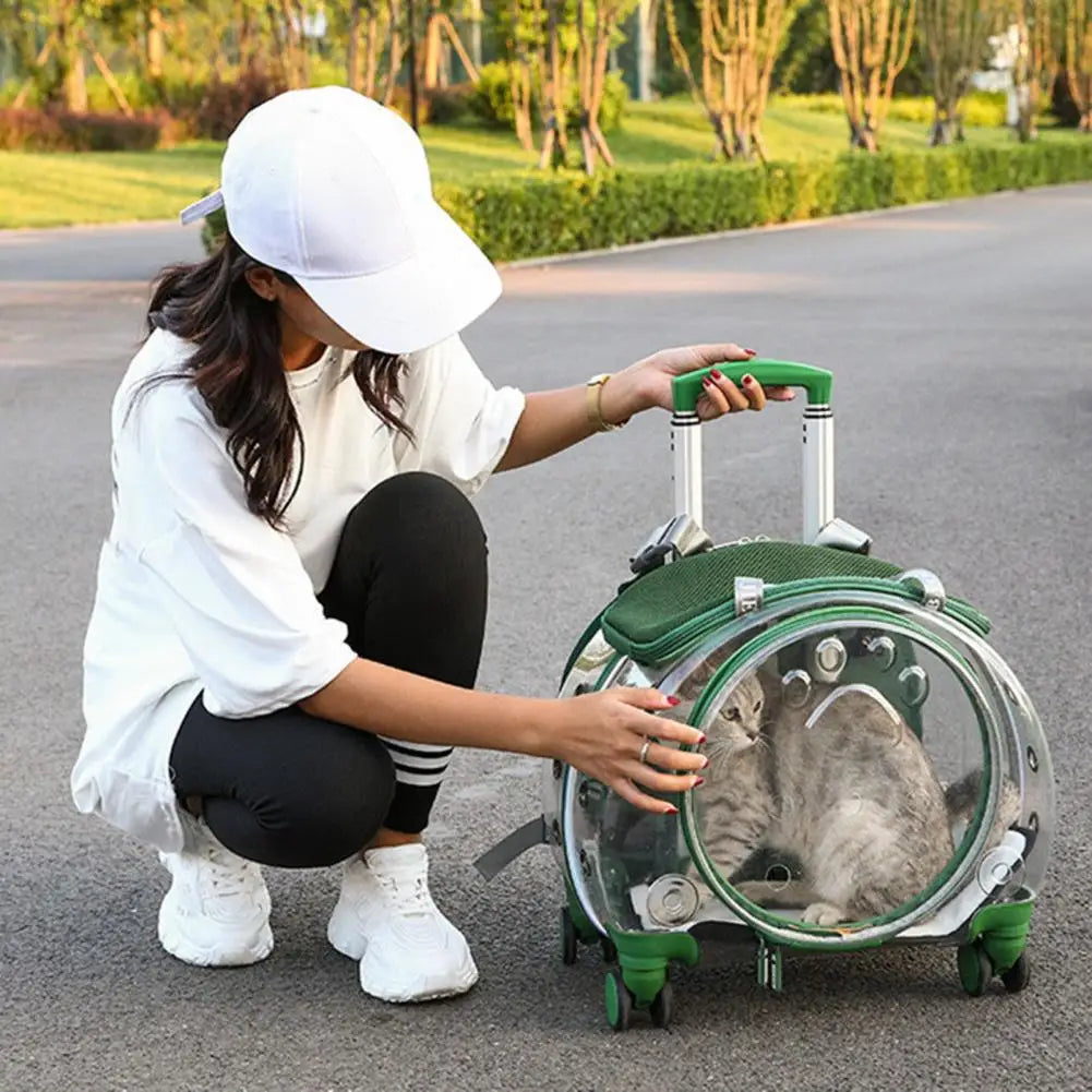Pet Trolley Carrier Backpack With Ventilation And Silent Wheels