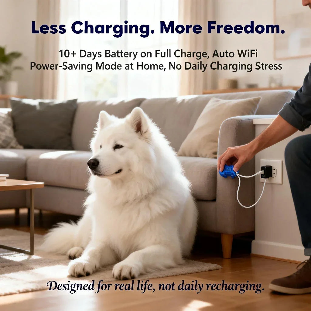 Wanwaytech GPS Pet Tracker Dogs Unlimited Range 4G LTE Connection