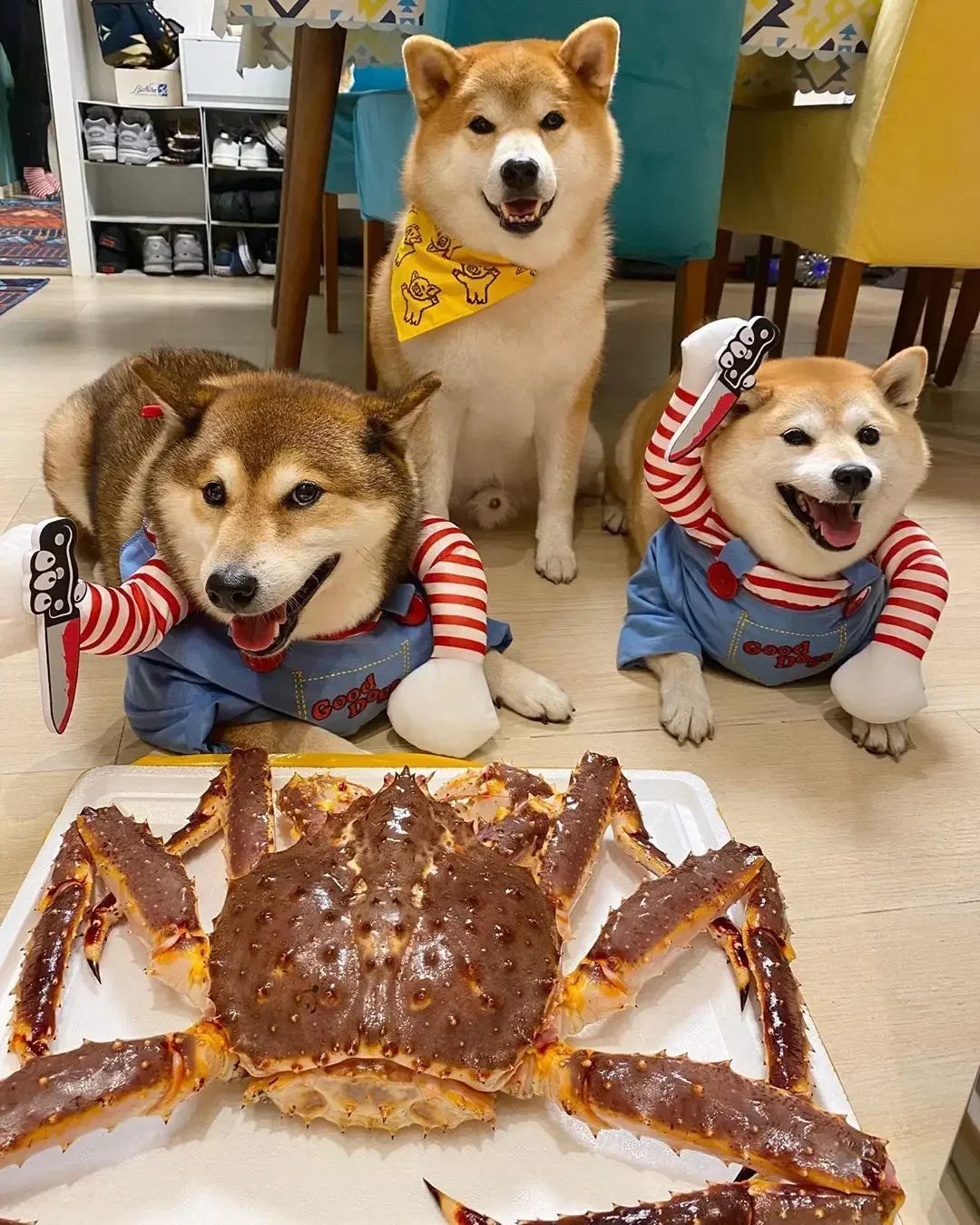 Holapet Halloween Chucky Pet Costume Funny 3D Dog Cat Outfit