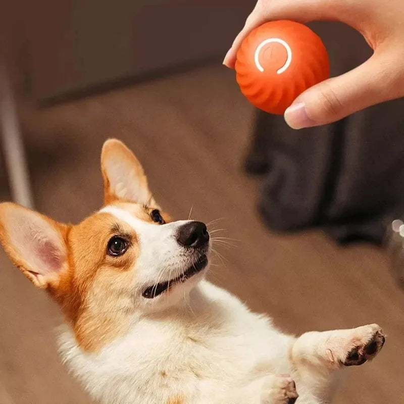Automatic Moving Ball Dog Toy Interactive USB Puppy Chew Toy