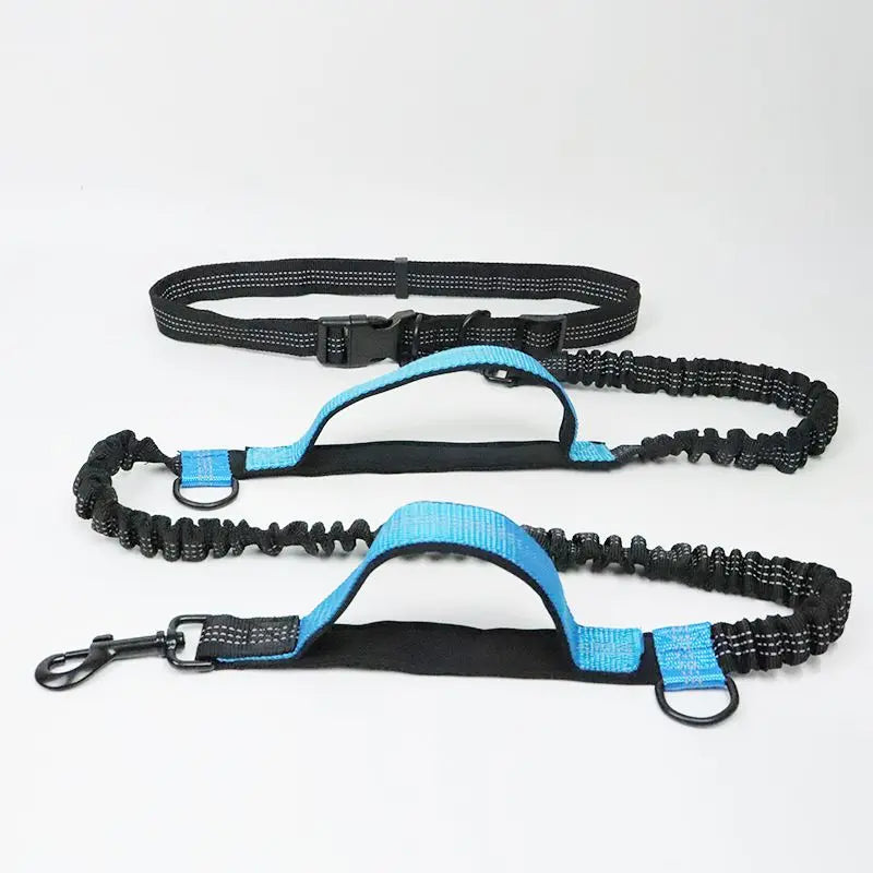 Adjustable Waist Dog Leash Featuring Durable Reflective Bungee Design