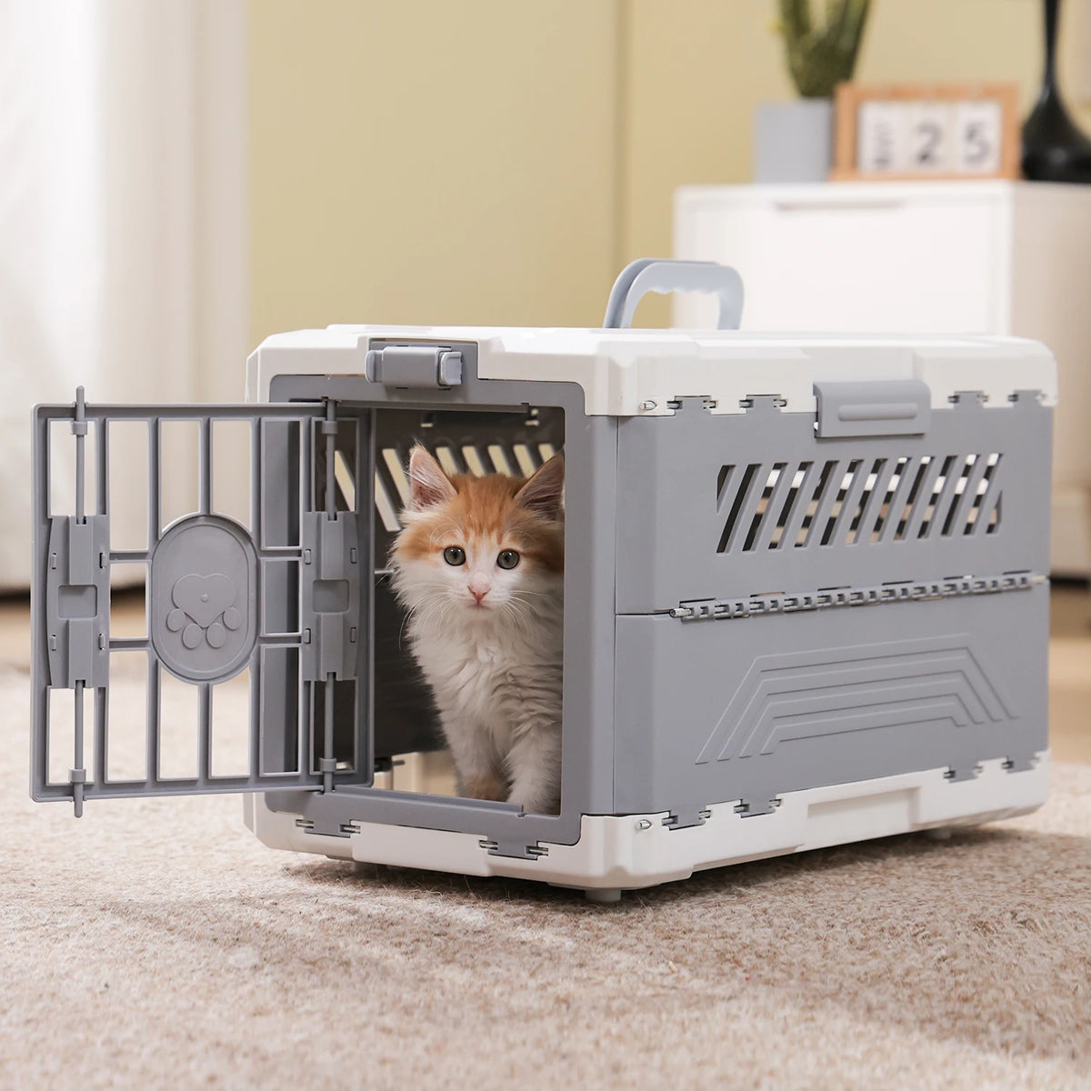 PAWZ Road Foldable Pet Carrier With Secure Lock Door
