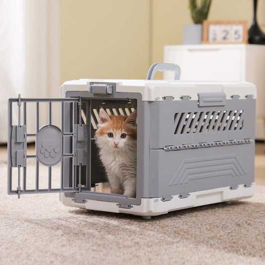 PAWZ Road Foldable Pet Carrier With Secure Lock Door