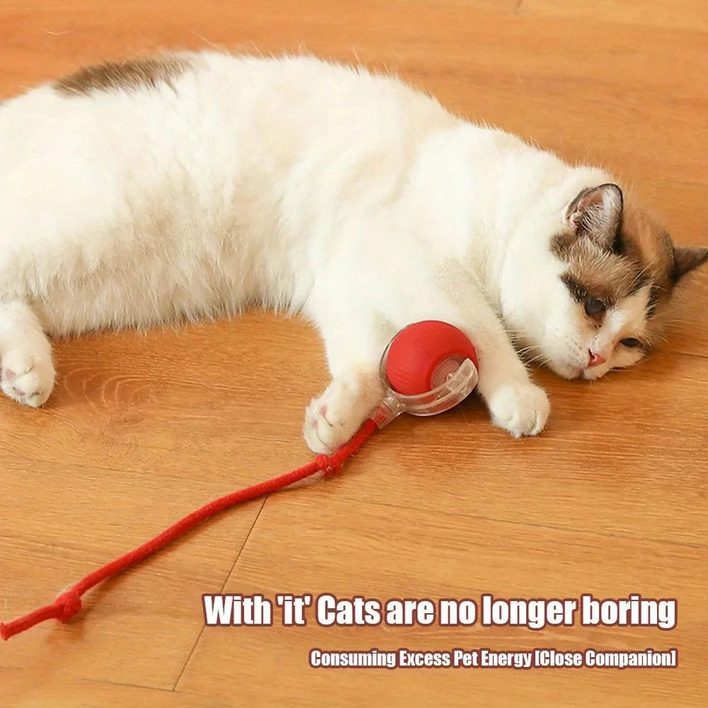 Automatic Cat Rolling Ball Interactive LED Rechargeable Self Play Toy