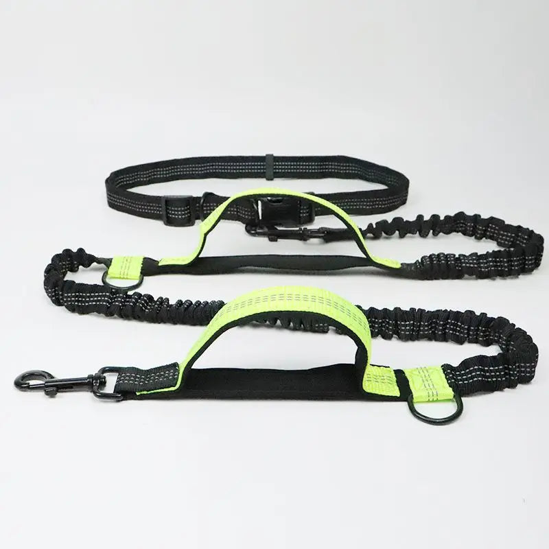 Adjustable Waist Dog Leash Featuring Durable Reflective Bungee Design