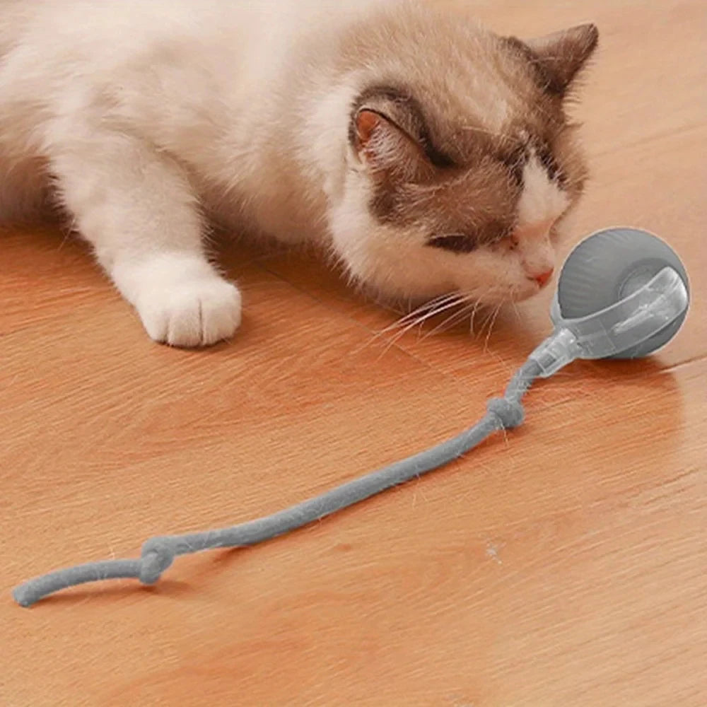 Automatic Cat Rolling Ball Interactive LED Rechargeable Self Play Toy