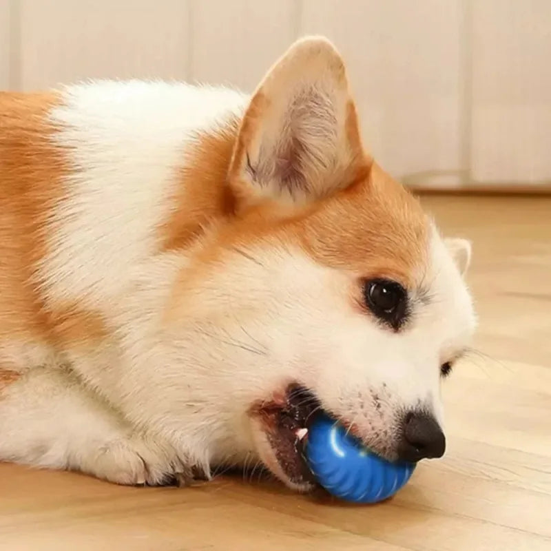 Automatic Moving Ball Dog Toy Interactive USB Puppy Chew Toy