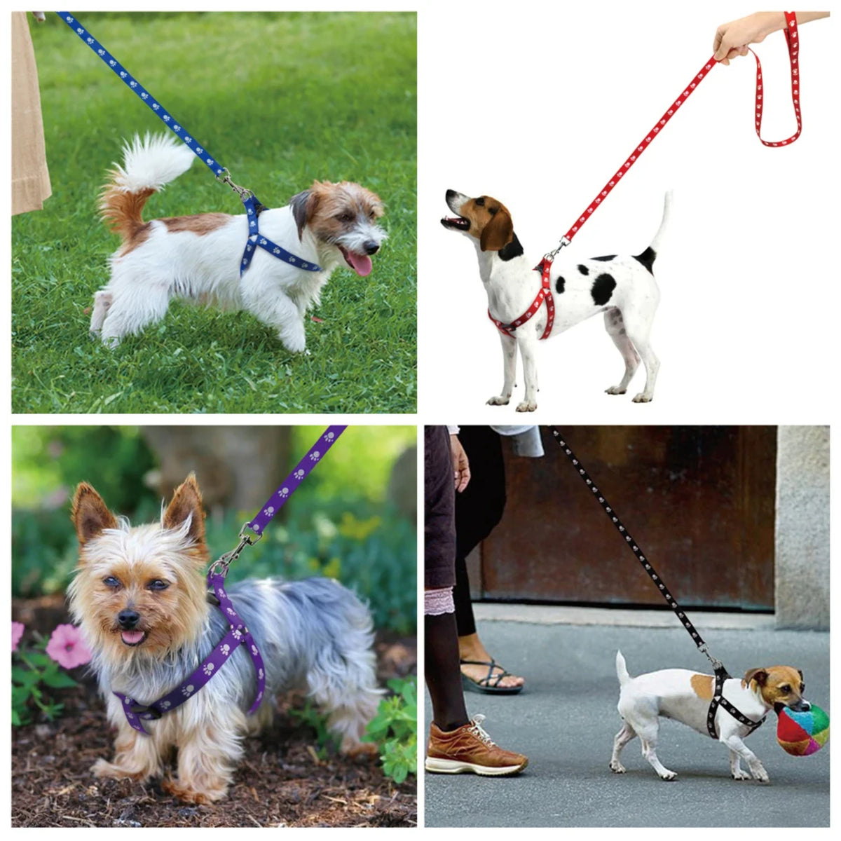 Adjustable Nylon Dog Harness And Leash Set With Paw Print Pattern