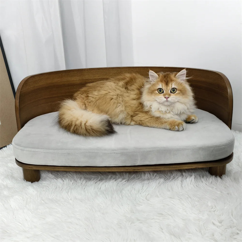 Borwat Elevated Eucalyptus Wood Pet Sofa Bed With Cushion