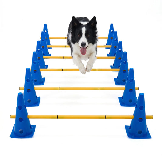 Dog Agility Training Set With Adjustable Hurdles For Exercise