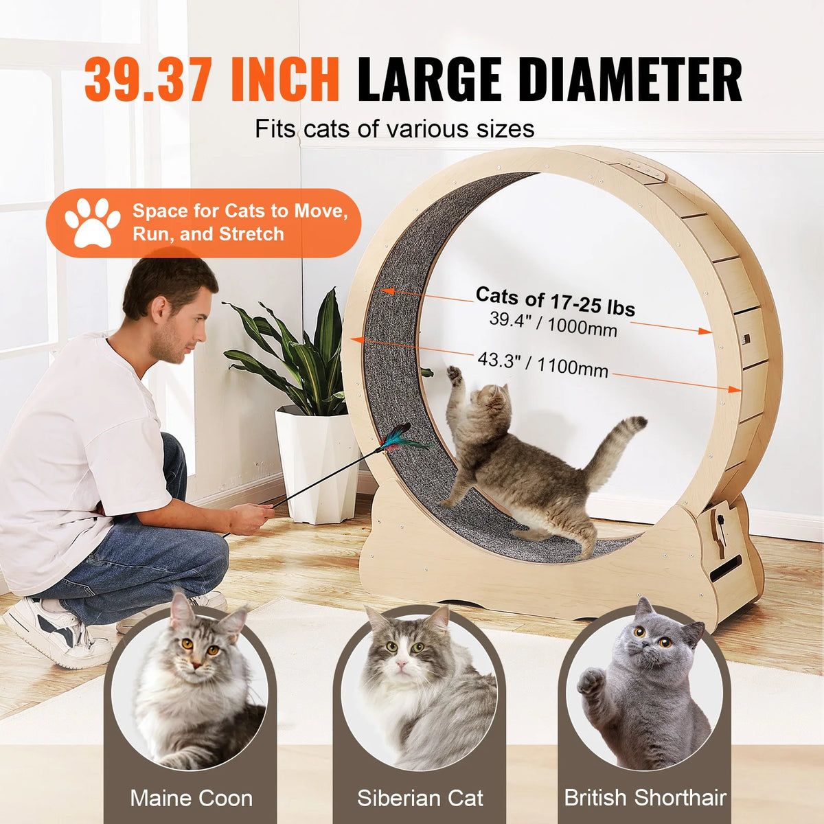 SucceBuy Wooden Cat Exercise Wheel For Indoor Fitness And Play