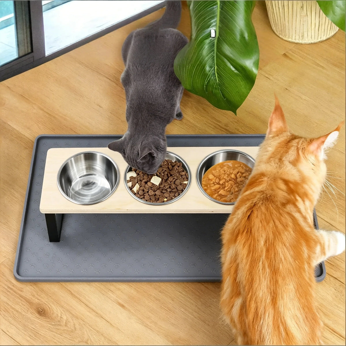 Elevated 3 Bowl Cat Feeder With Bamboo Stand And Steel Bowls