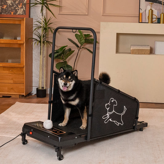 Quiet Indoor Dog Treadmill With Safety Rails For Pet Exercise