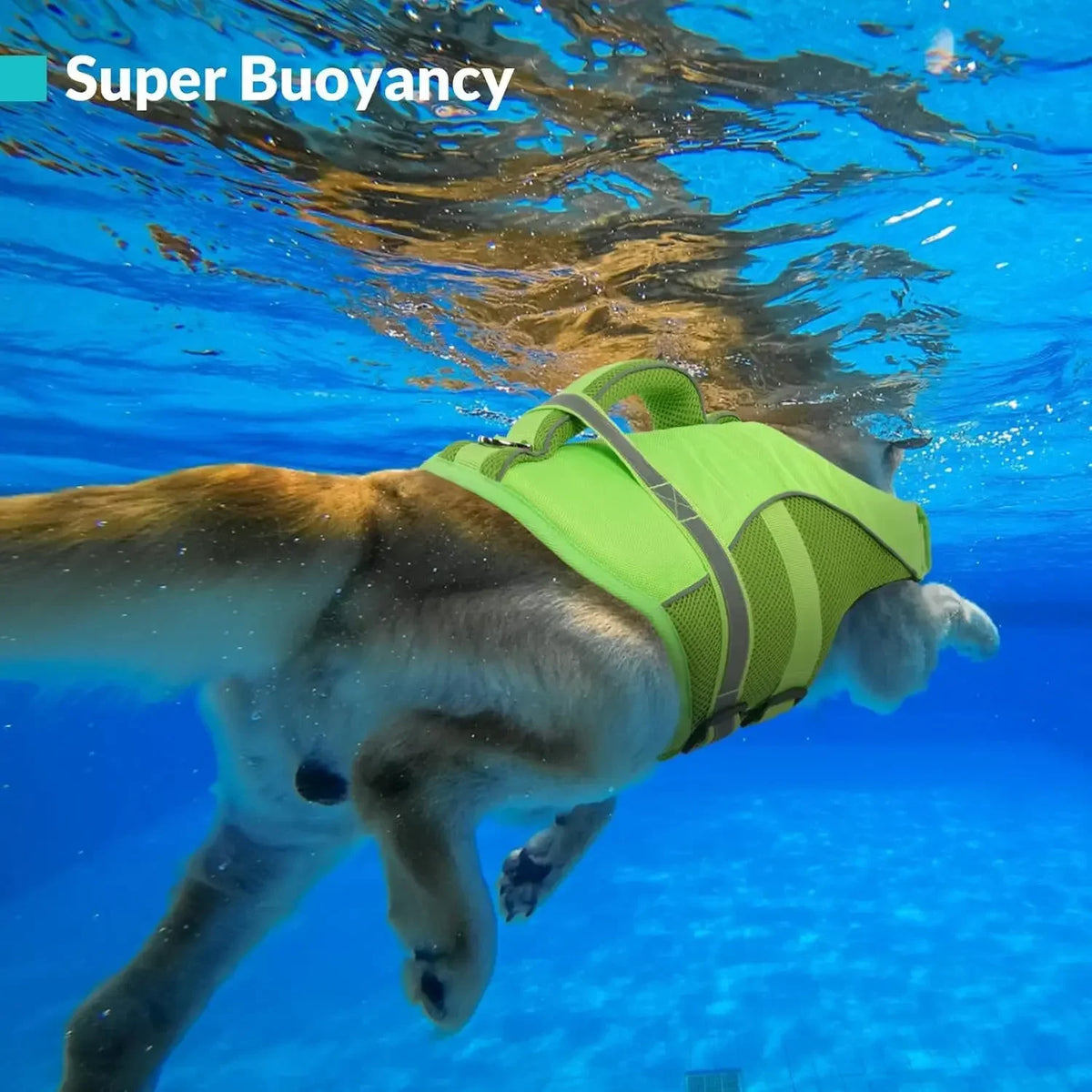 Durable Mesh Dog Life Jacket With Reflective Handle And Buoyancy