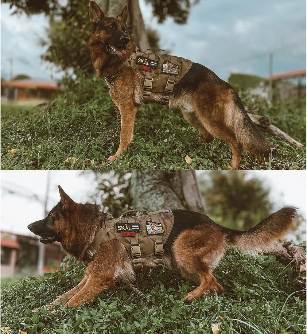 Tactical Mesh Dog Harness Vest With Handle For Training