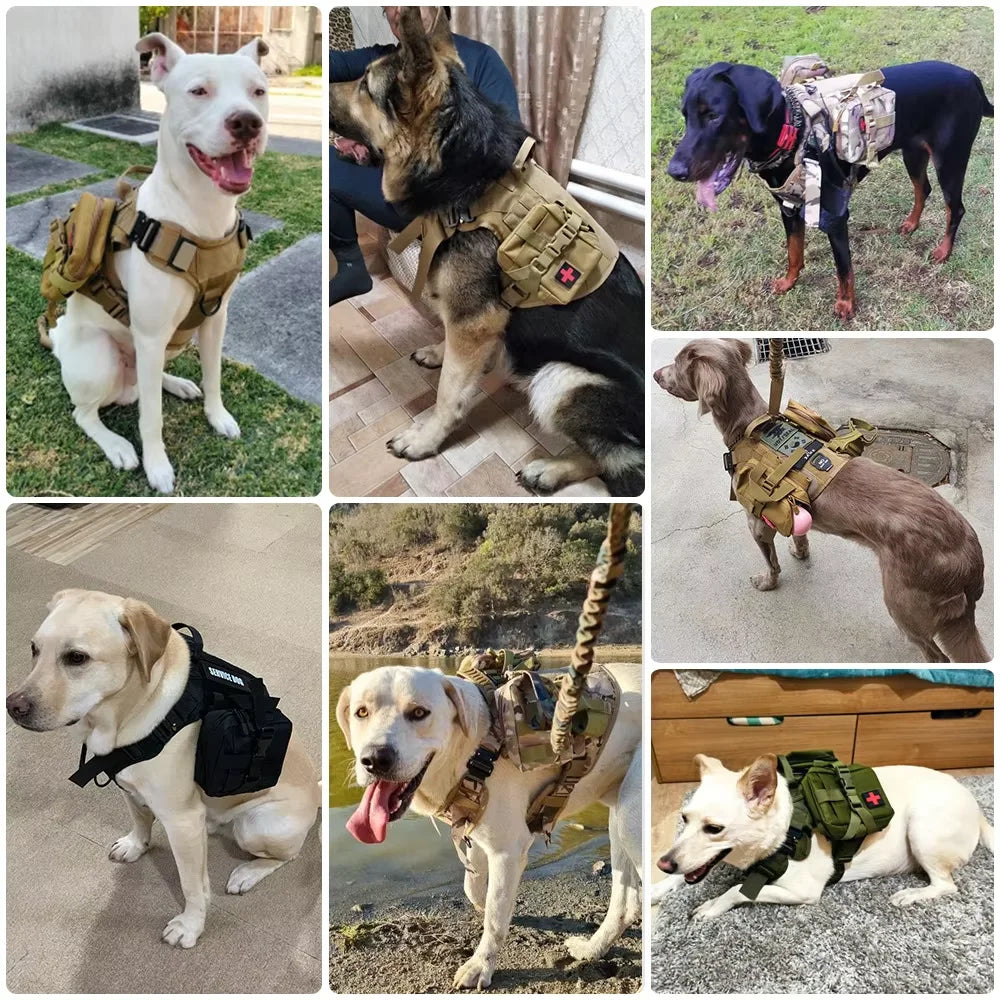 Petravel Dog Tactical MOLLE Pouches Harness Training Nylon Gear Set