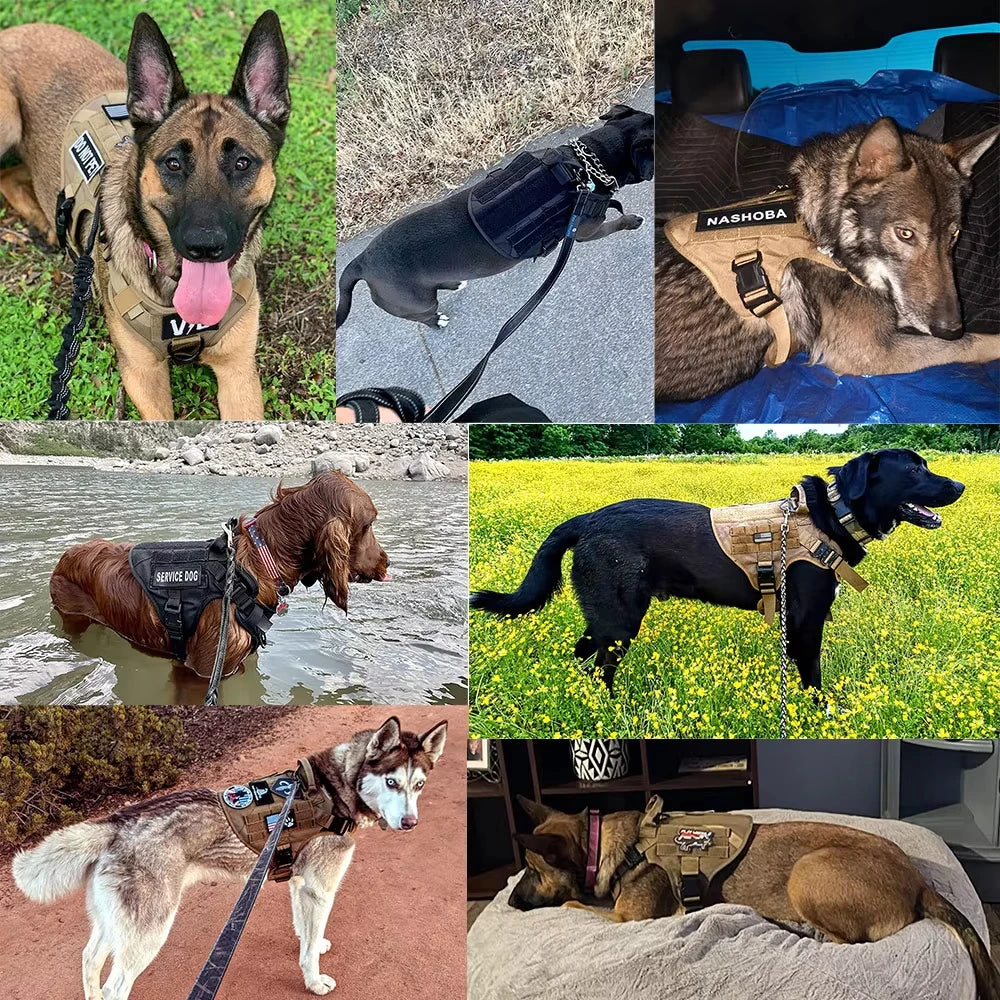 Petavel Tactical Dog Harness Vest Padded Nylon Quick Release Set