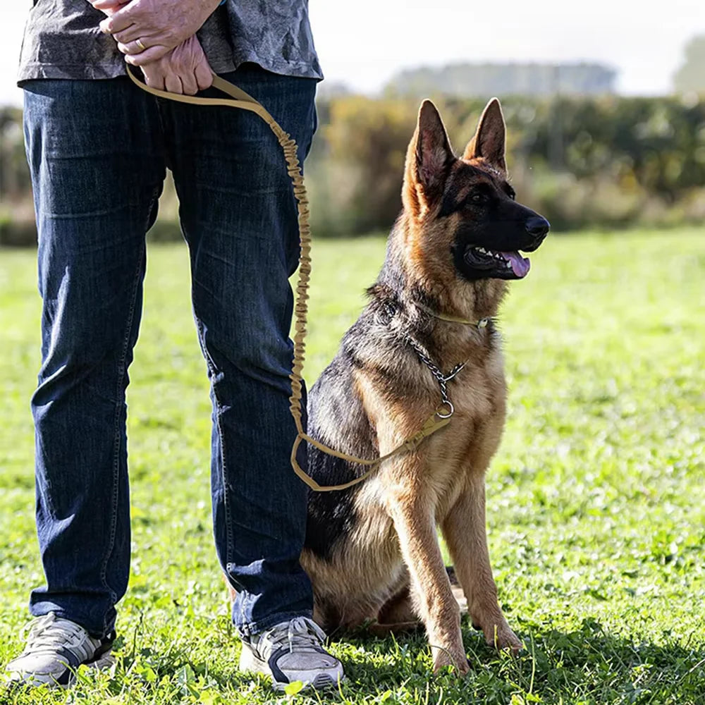 PetraVel Quick Release Double Handle Dog Leash Adjustable Nylon Rope