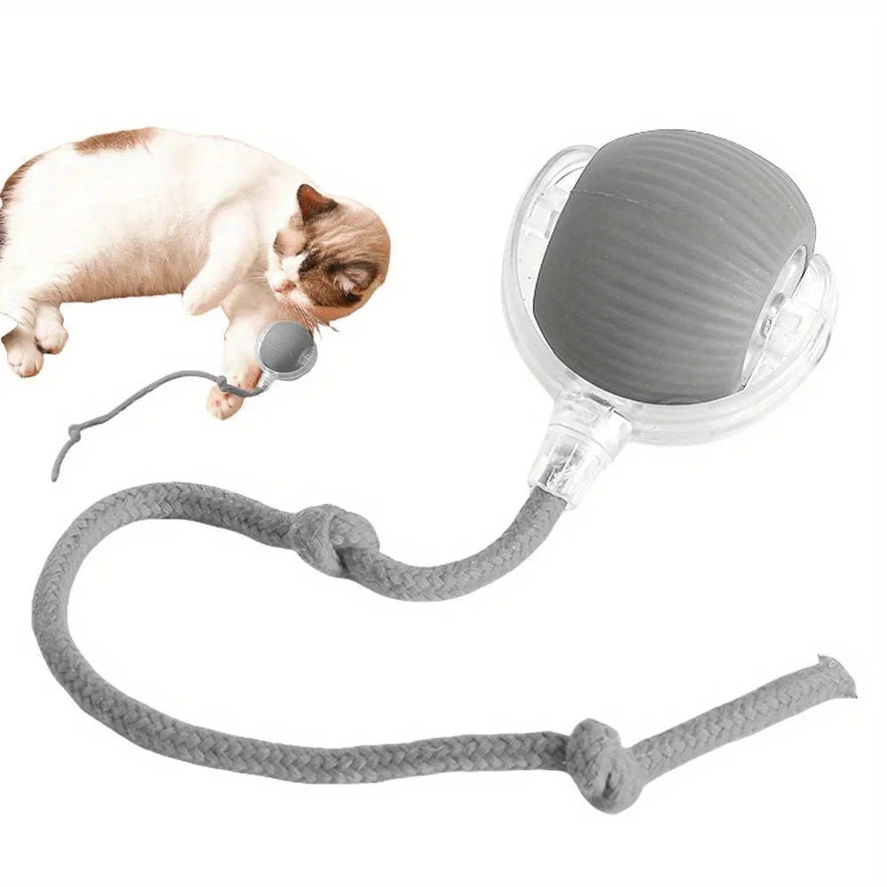 Automatic Cat Rolling Ball Interactive LED Rechargeable Self Play Toy