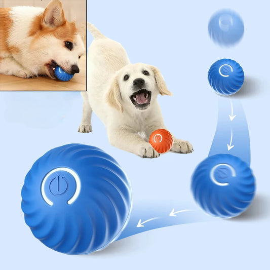 Automatic Moving Ball Dog Toy Interactive USB Puppy Chew Toy