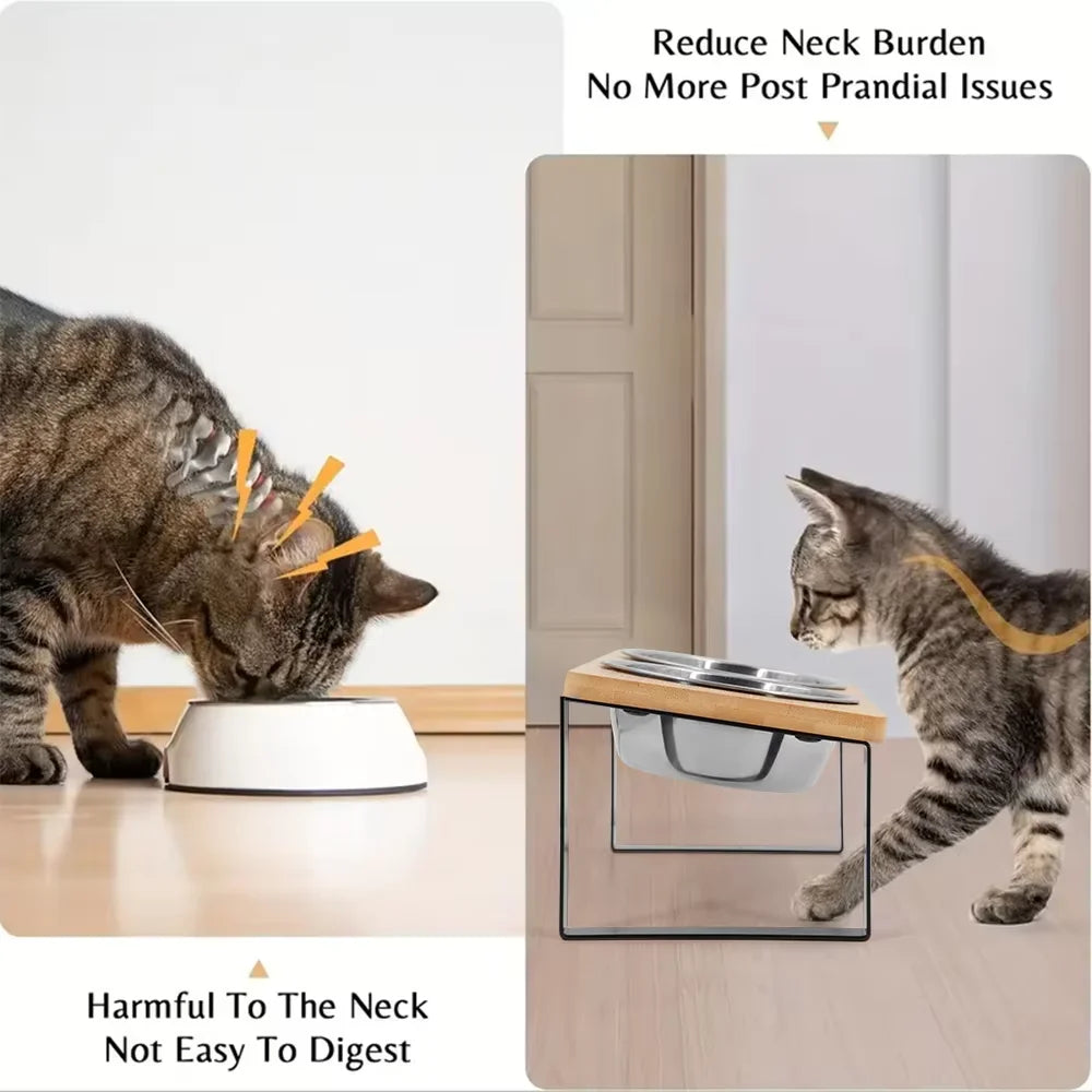 Elevated Stainless Steel Cat Bowls With Wooden Tilted Stand