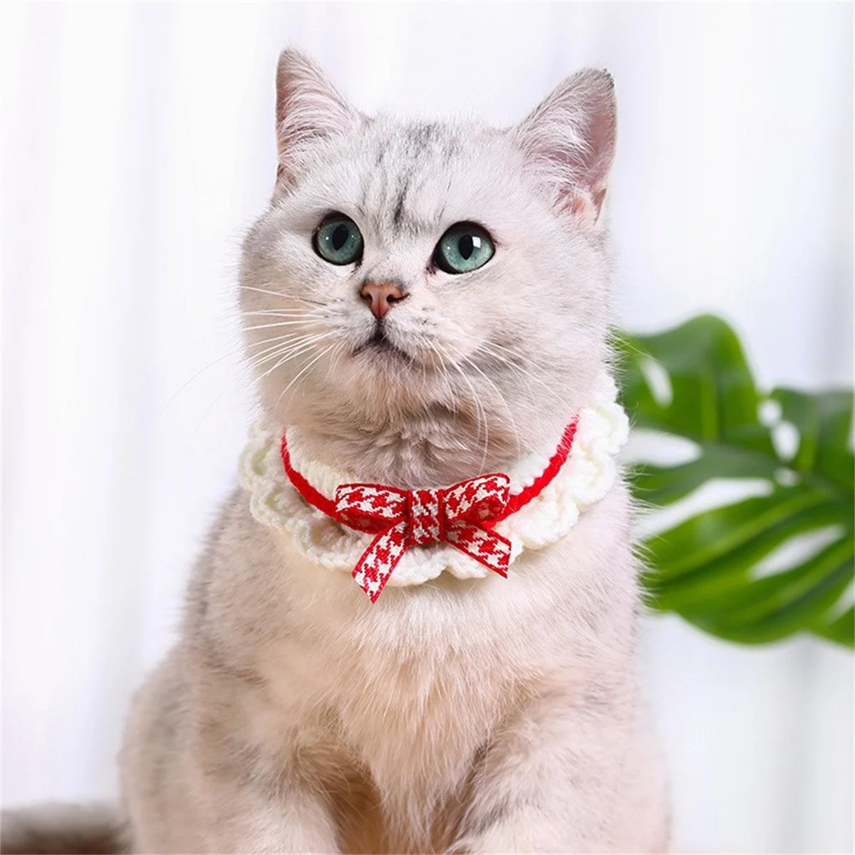 Adjustable Knitted Bow Knot Pet Collar For Cats And Puppies