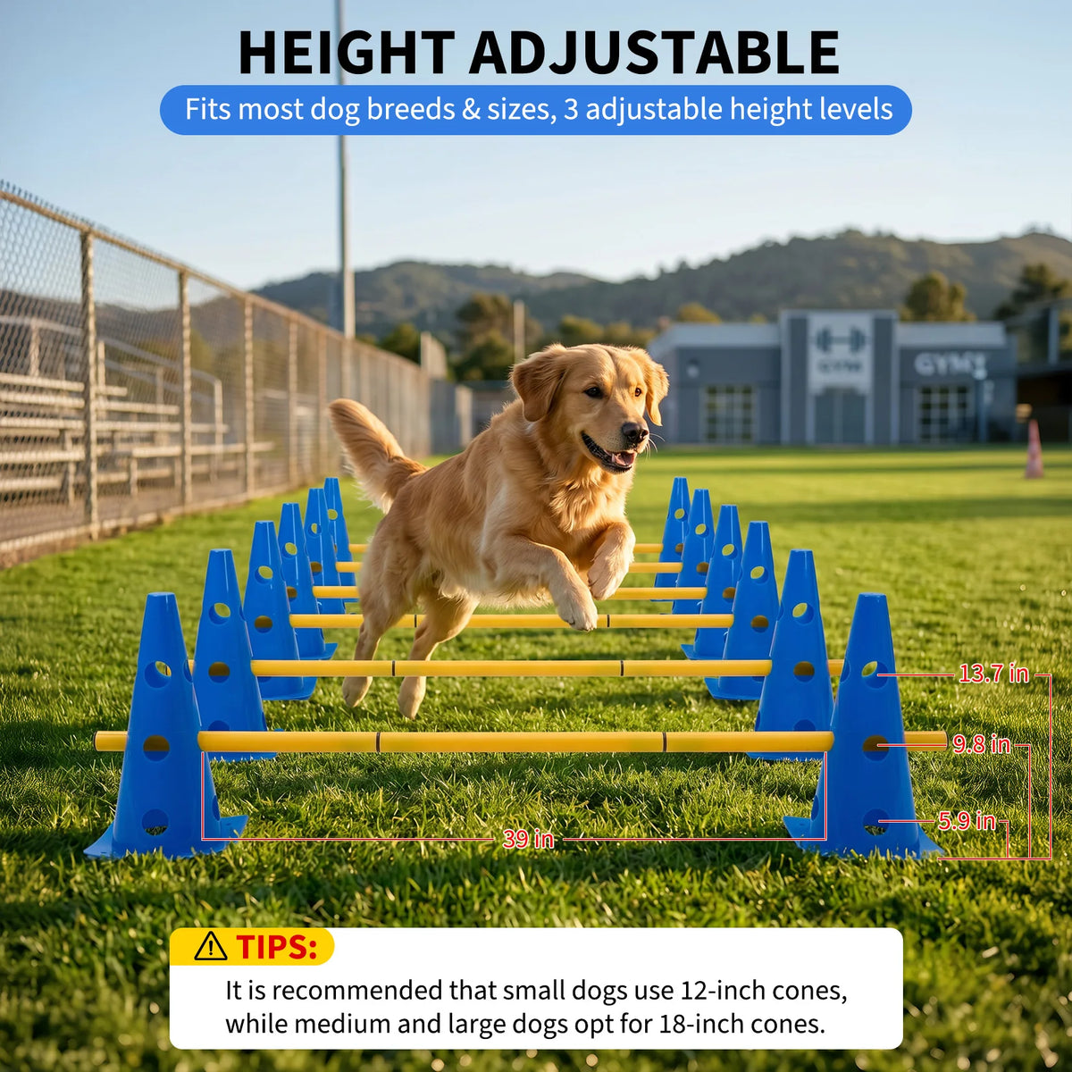 Dog Agility Training Set With Adjustable Hurdles For Exercise