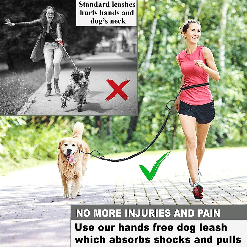 Adjustable Waist Dog Leash Featuring Durable Reflective Bungee Design